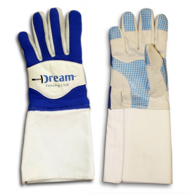 dream_fencing_gloves_2011058976